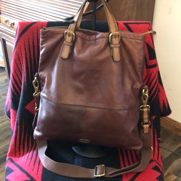 A Fossil Worth Looking At - Picture 3 of 8